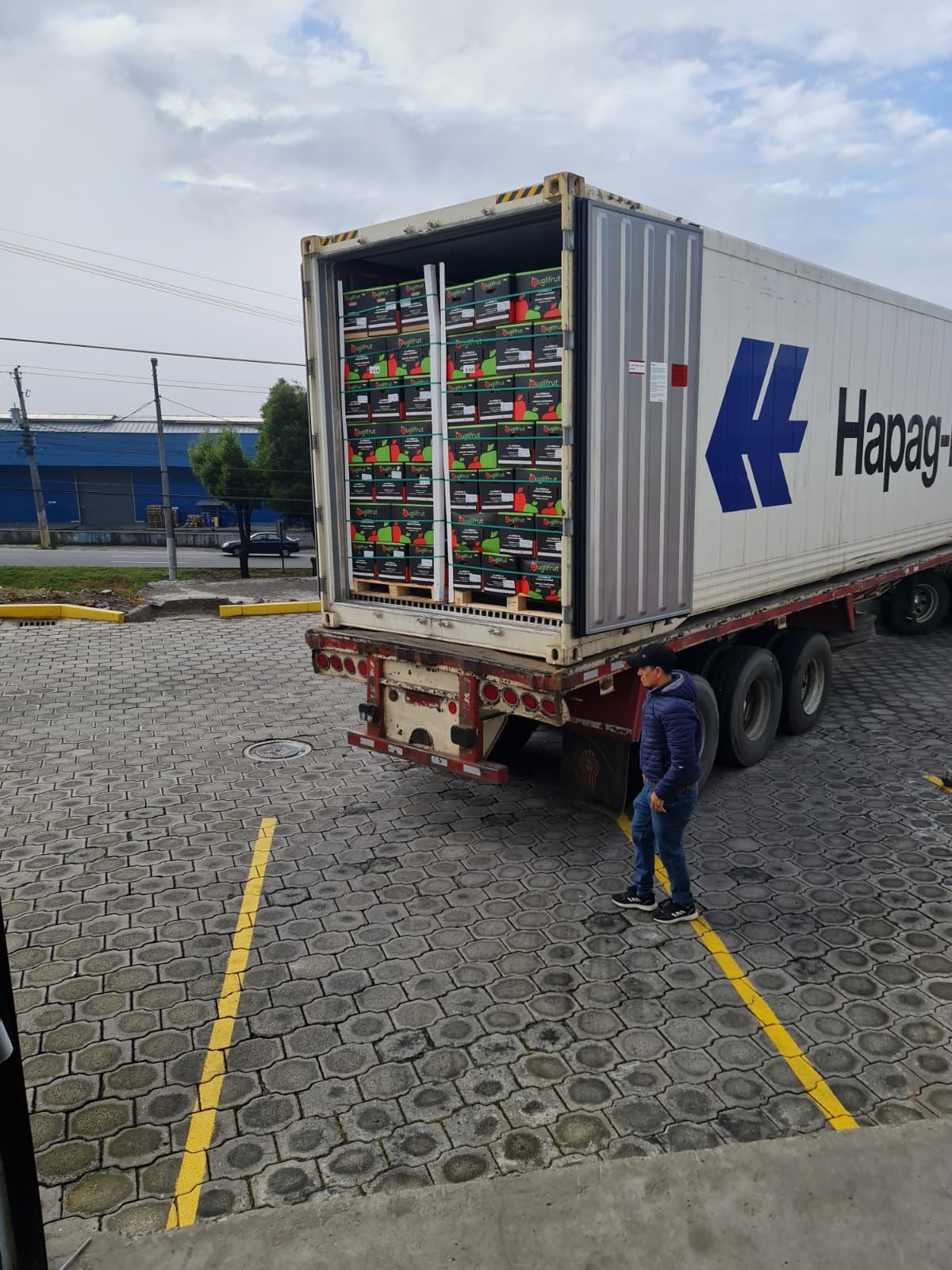 Contenedor reefer Hapag-Lloyd cargado con pallets de fruta Puglifrut.