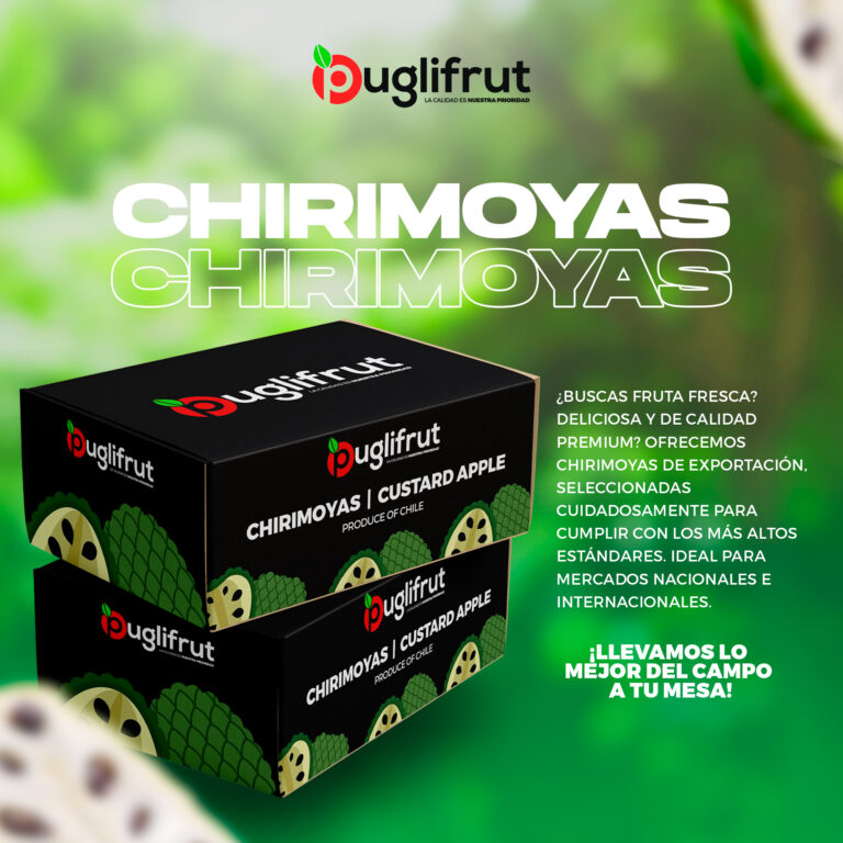 POSTCHIRIMOYA